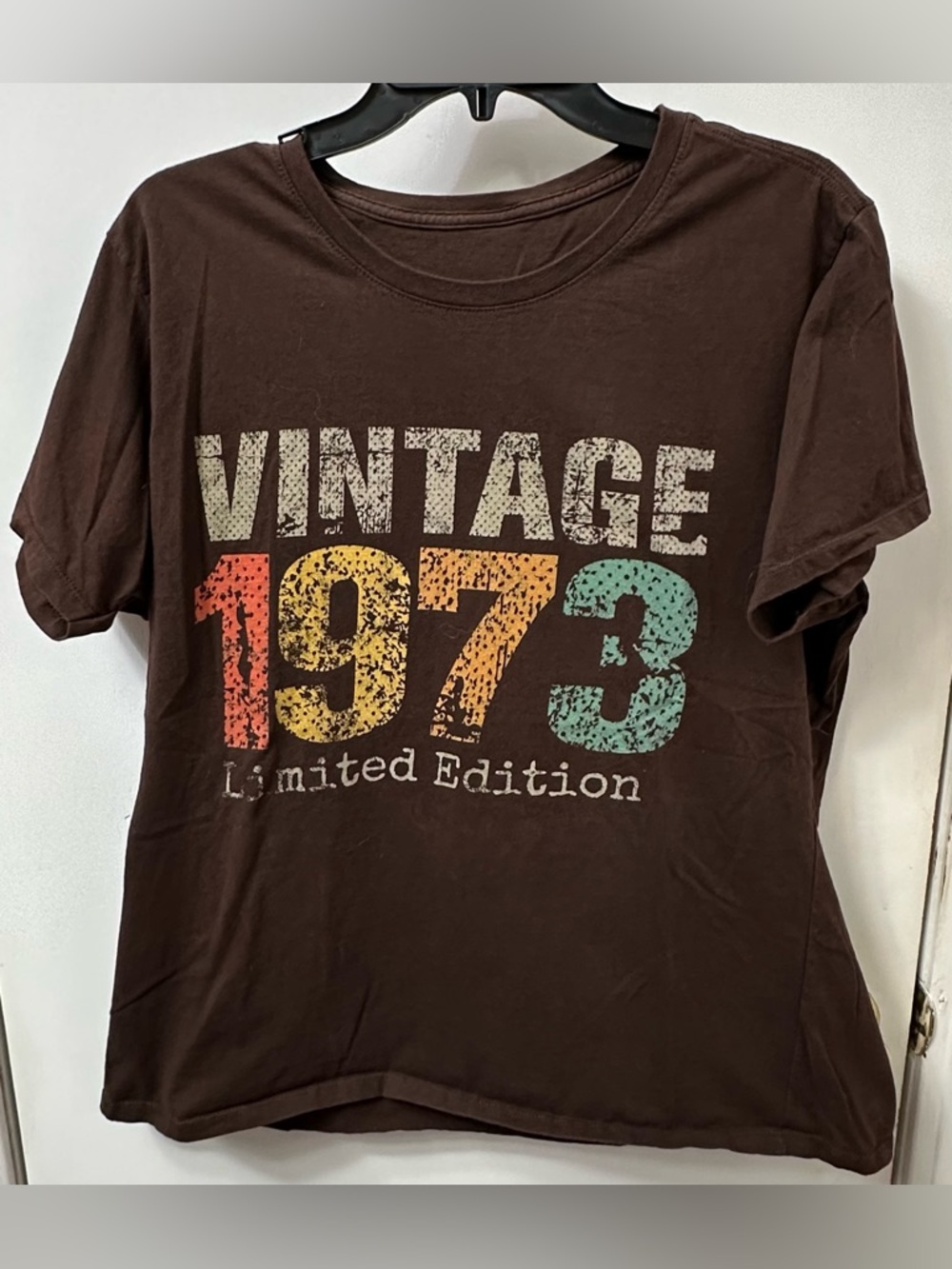 Vintage 1973 Graphic Tee in Brown
Runs a little small